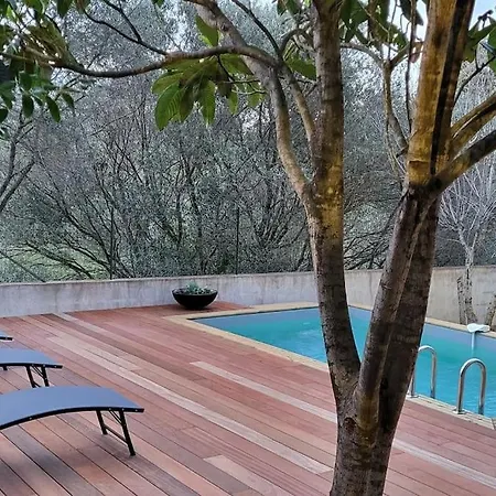 公寓 Casa Marcelli 3 维琪奥港