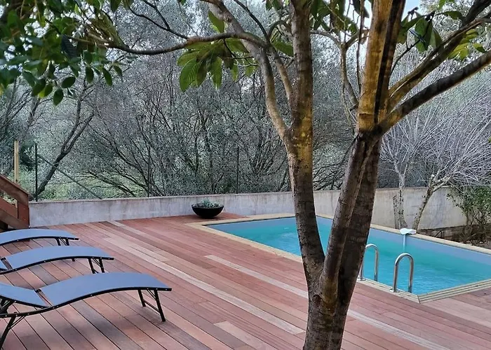 公寓 Casa Marcelli 3 维琪奥港